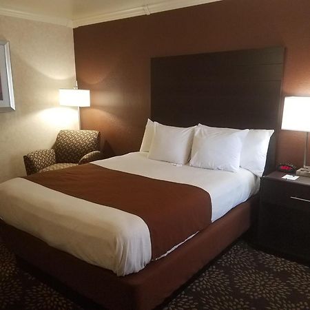 Best Western Innsuites Tucson Foothills Hotel & Suites Casas Adobes Eksteriør bilde